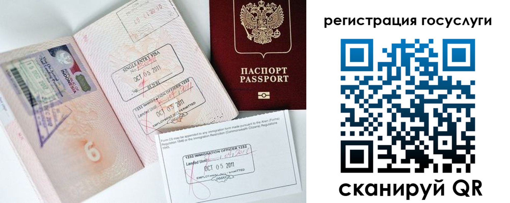 прописка в Жердевке
